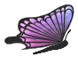 Flying purple butterfly (with PNG iCCP chunk)